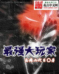 收藏大玩家
