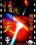 情趣翻天