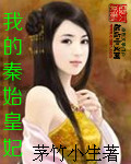 我的秦始皇妃