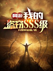 网游我的盗窃sss级小说
