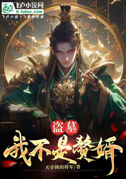 盗墓:我不是赘婿免费阅读