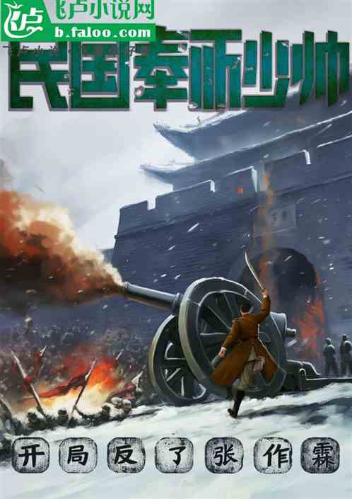 民国：奉系少帅，开局反了张作林