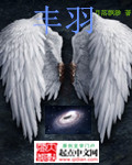 丰羽